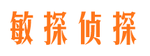 滴道市侦探公司